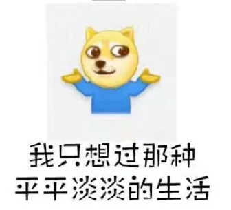 其实我只是想过那种平平淡淡的生活_doge_装逼