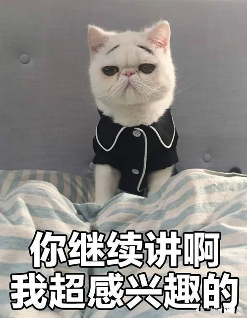 你继续讲啊 我超感兴趣的
