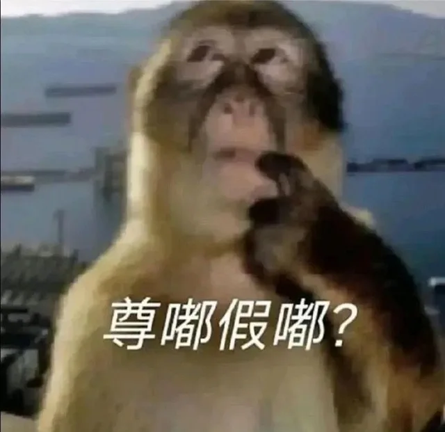 尊嘟假嘟？（尊嘟假嘟？）