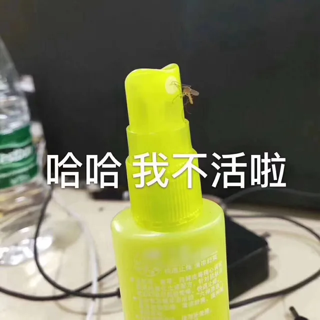 哈哈 我不想活啦（蚊子）