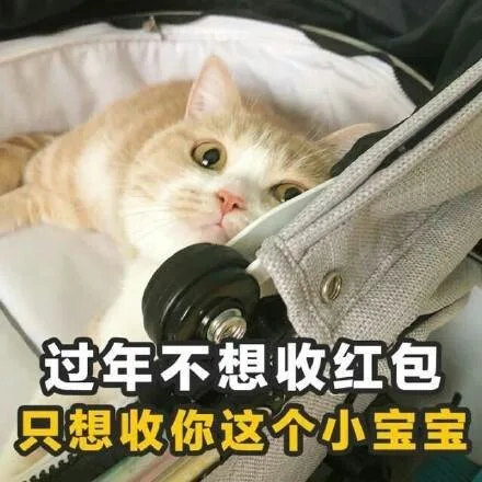 过年不想收红包只想收你这个小宝宝（过年不想收红包只想收你这个小宝宝）