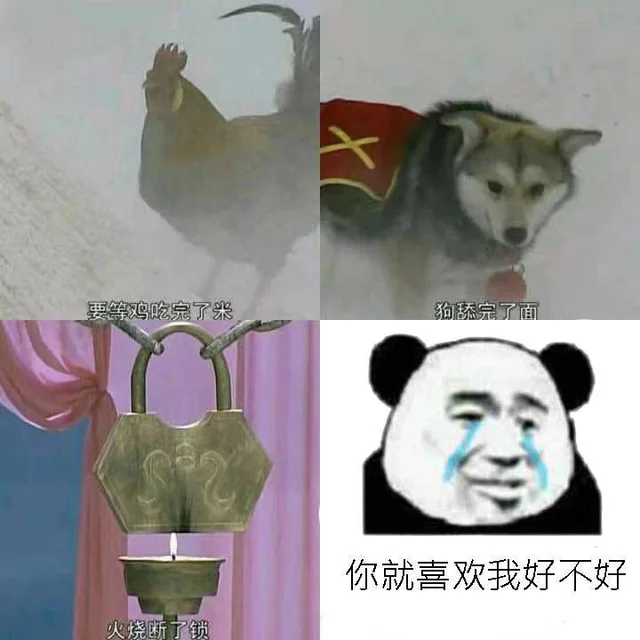 等鸡吃完了米、狗舔完了面、火烧断了锁的时候...