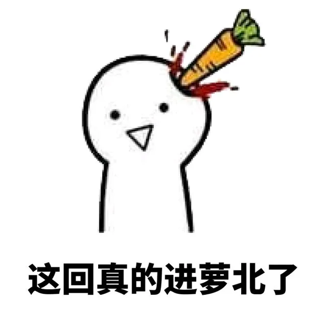 这回真的进萝北了