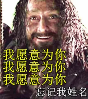 我愿意为你 我愿意为你 我愿意为你 忘记我姓名