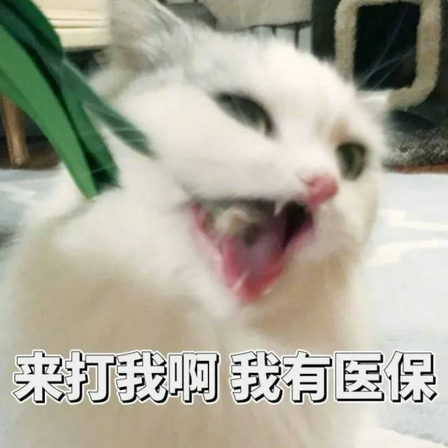 来打我啊我有医保
