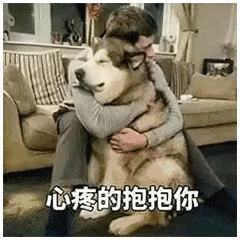 心疼的抱抱你