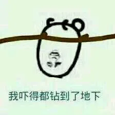 我吓得都钻到了地下