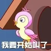 我要开始叫了（我要开始叫了）