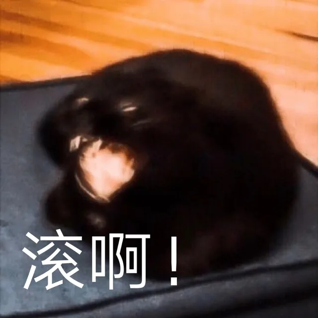 滚啊!