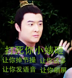 打死你小婊砸，让你掉节操，让你话多，让你发语音，让你刷屏（打死你小婊砸，让你掉节操，让你话多，让你发语音，让你刷屏）