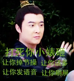 打死你小婊砸，让你掉节操，让你话多，让你发语音，让你刷屏