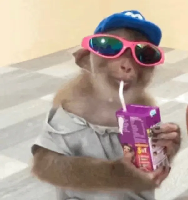 AA（AA）