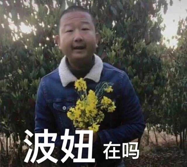 近期斗图表情包精选-2019/7/7