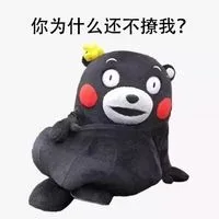 你为什么还不撩我（你为什么还不撩我）