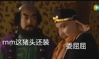 委屈屈~rnm 这猪头还装