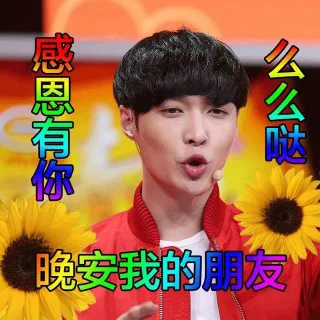 一组爱豆土味表情包_中老年表情包_明星表情