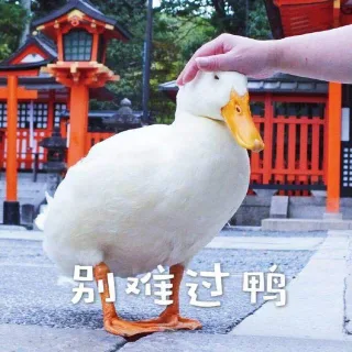 别难过鸭