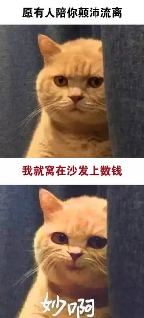 愿有人陪你颠沛流离，我就窝在沙发上数钱，妙啊