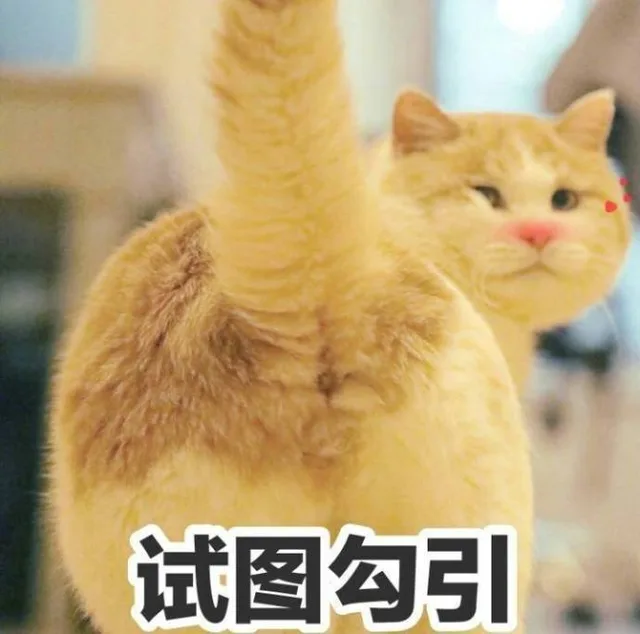 试图勾引（试图勾引）