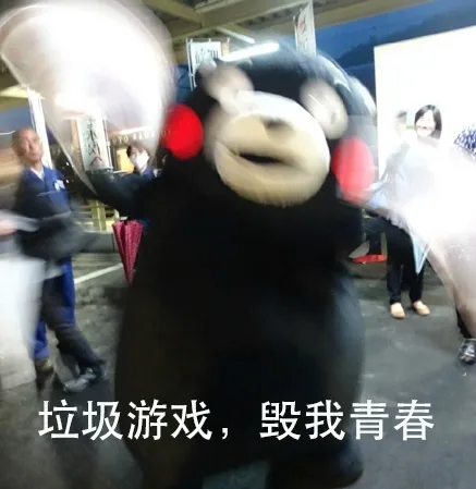 垃圾游戏，毁我青春