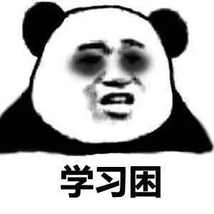 学习困