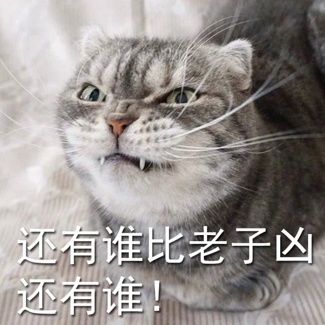 还有谁比老子凶还有谁！（还有谁比老子凶还有谁！）