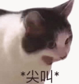 *尖叫*（*尖叫*）