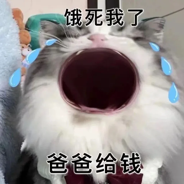 饿死我了爸爸给钱（饿死我了爸爸给钱）