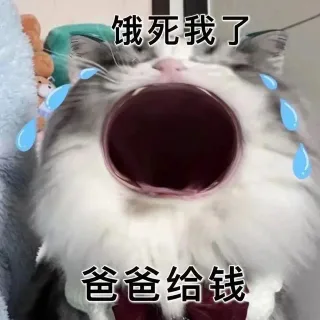 饿死我了爸爸给钱