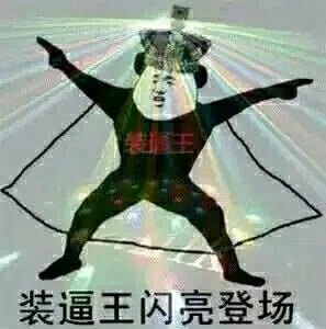 装逼王闪亮登场_装逼王_装逼_搞笑_熊猫_叶良辰表情包