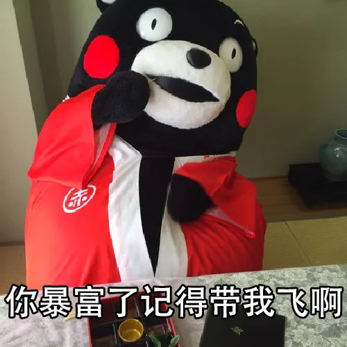 你暴富了记得带我飞啊