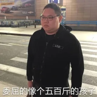 骚猪嫖老师PPD表情包 _PDD_骚猪_群聊
