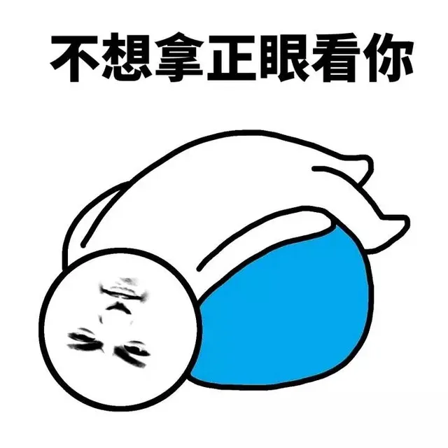 不想拿正眼看你