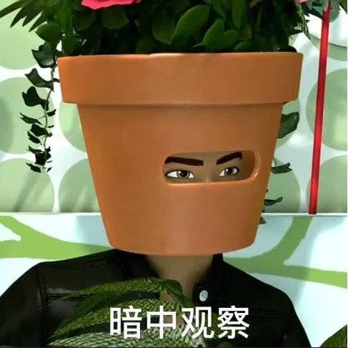 暗中观察