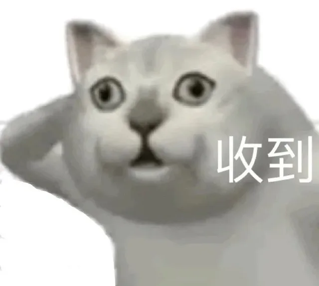 收到