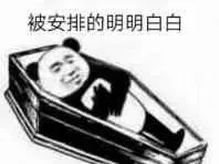 被安排的明明白白