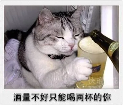 酒量不好只能喝两杯的你（酒量不好只能喝两杯的你）