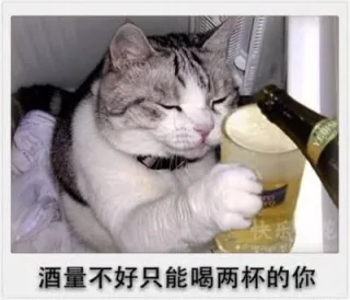 酒量不好只能喝两杯的你