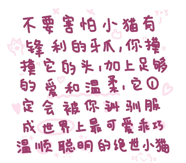 不要害怕小猫有中锋利的牙爪,你掉它的头加上足够的爱和温柔它0定会被你驯服成世界上最可爱乖巧温顺聪明的绝世小猫