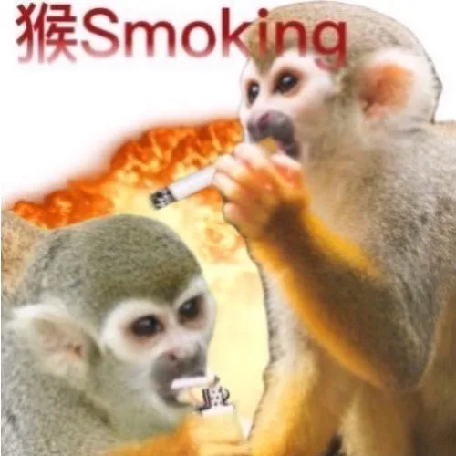 猴Smoking（猴Smoking）