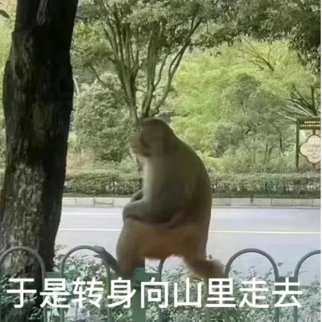 乐是转身向山里走去(猴子表情包)（乐是转身向山里走去(猴子表情包)）