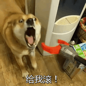 给我滚