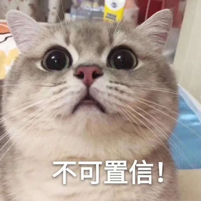 不可置信！（不可置信！）