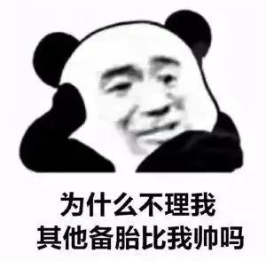 为什么不理我其他备胎比我帅吗（为什么不理我其他备胎比我帅吗）