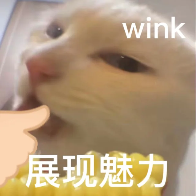wink展现魅力