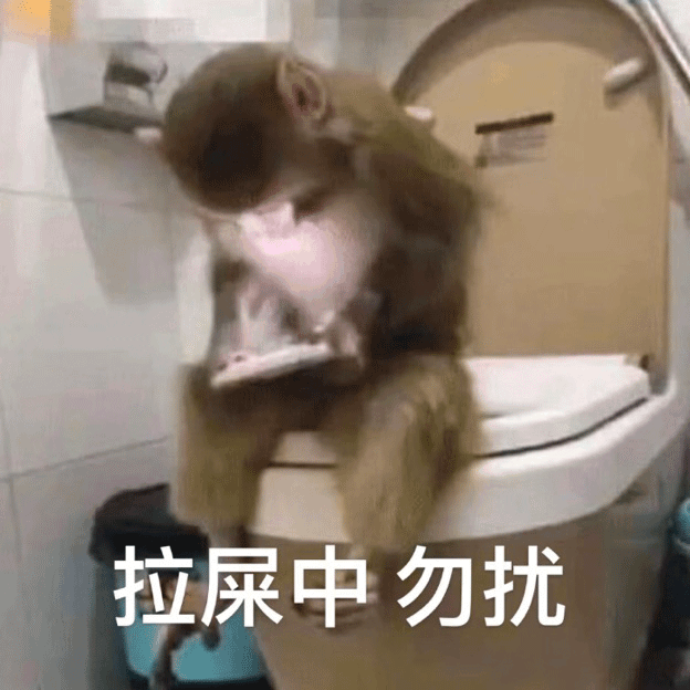 拉屎中勿扰（拉屎中勿扰）