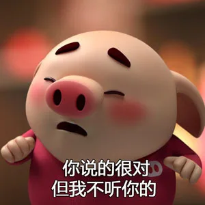 你说的很对，但是我不听你的