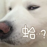 蛤？