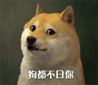 doge最新装逼表情_doge表情包