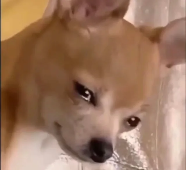 （未命名表情包）